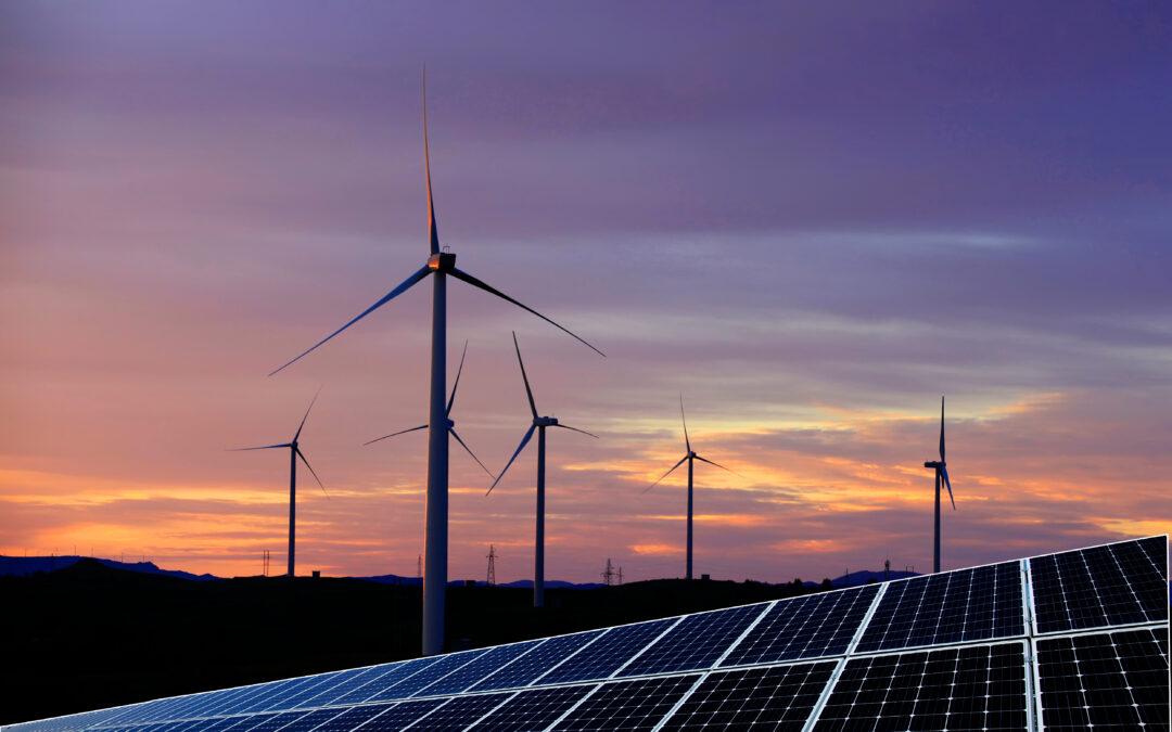 Helping a fast growing student energy company stock check its culture following a significant increase in headcount