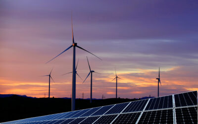 Helping a fast growing student energy company stock check its culture following a significant increase in headcount