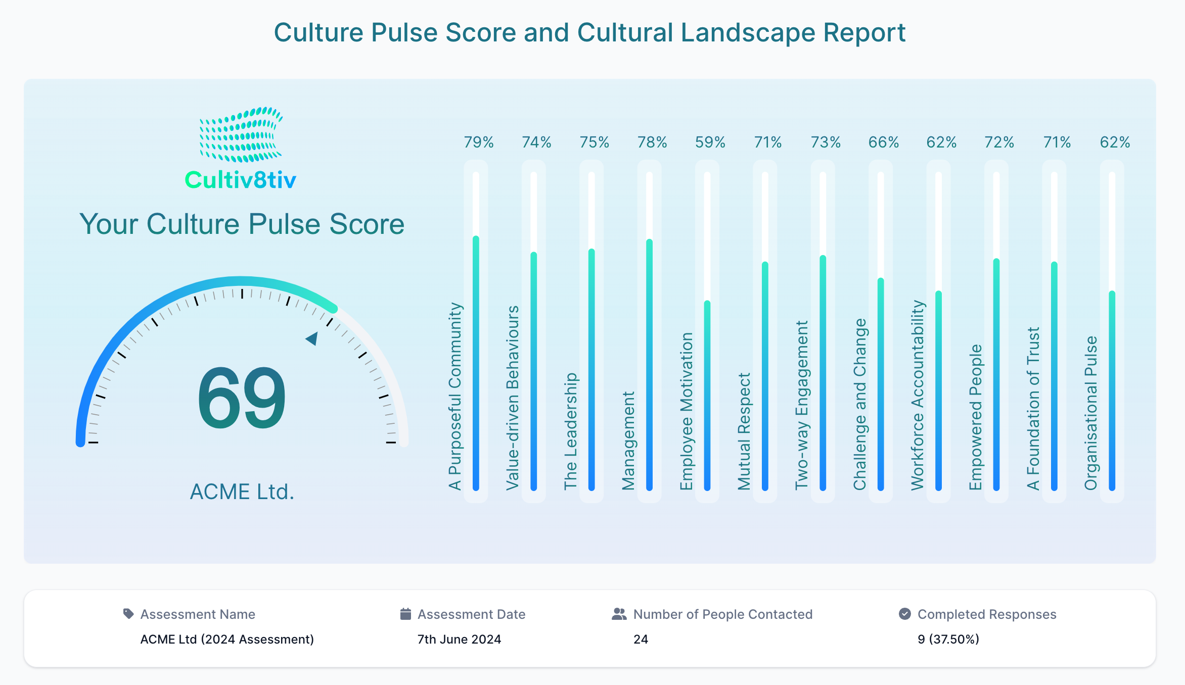 Culture Pulse Score (1)