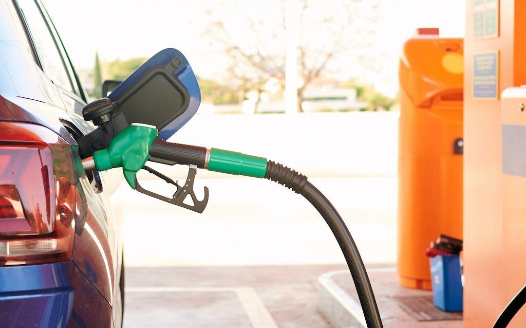 How Culture Fuels Productivity