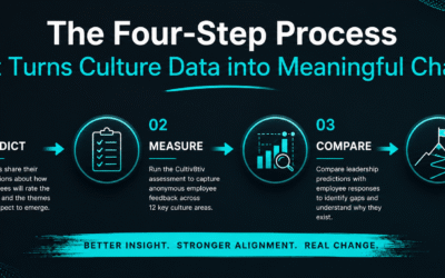 The Leadership Perception Gap; Why Measuring Organisational Culture Isn’t Enough